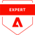 Adobe_Certified_Expert_Experience_Cloud_products_Digital_Badge