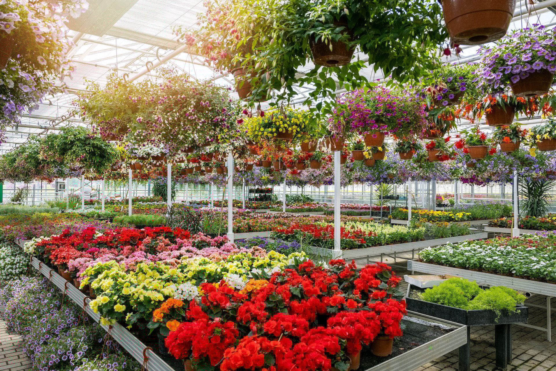 The Best eCommerce Platforms for B2C Home and Garden Businesses